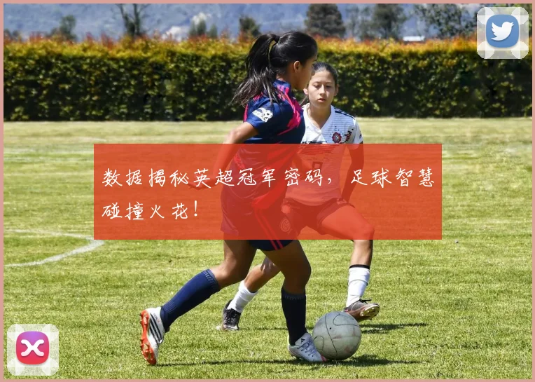 数据揭秘英超冠军密码，足球智慧碰撞火花！