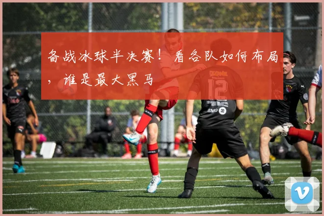 备战冰球半决赛！看各队如何布局，谁是最大黑马