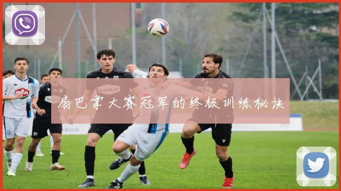 扇巴掌大赛冠军的终极训练秘诀