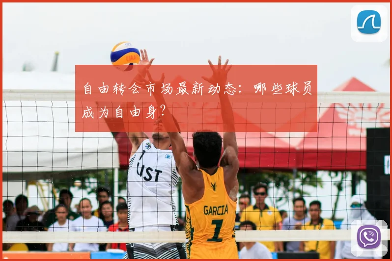 自由转会市场最新动态：哪些球员成为自由身？