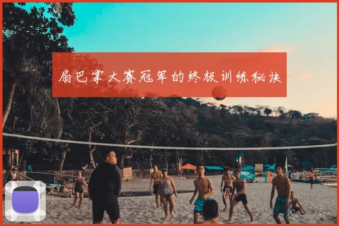 扇巴掌大赛冠军的终极训练秘诀