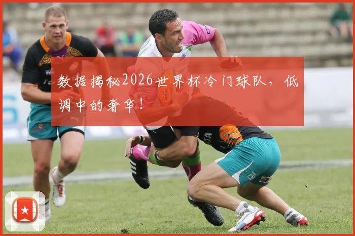 数据揭秘2026世界杯冷门球队，低调中的奢华！