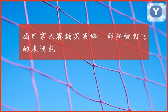 扇巴掌大赛搞笑集锦：那些被打飞的表情包
